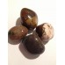Tumbled Petrified wood- (4) stones