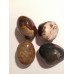 Tumbled Petrified wood- (4) stones